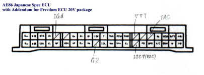 Freedom 16V and 20V ECU.jpg (51566 bytes)